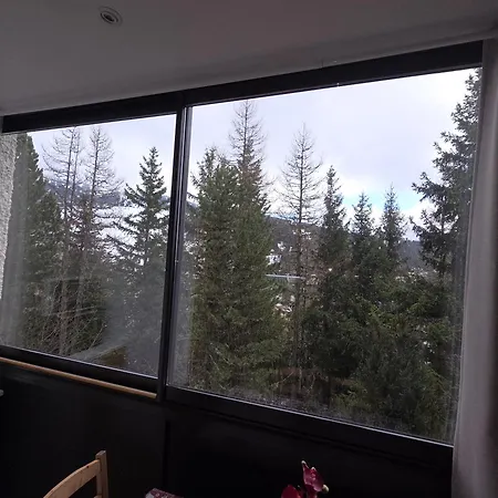 Apartamento - Confort - Recoin Chamrousse